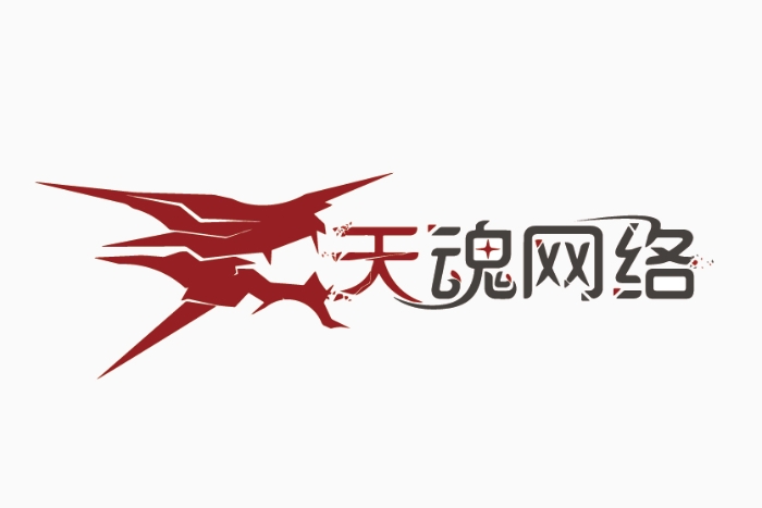 画板 1-天魂网络logo